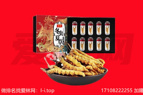 宣化区回收虫草.jpg